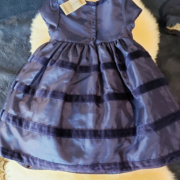 NWT Gymboree 3T Blue Satin Velvet Easter Dress - Picture 5 of 7
